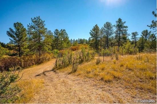 MLS Image #43 for 450 e happy canyon road,castle rock, Colorado