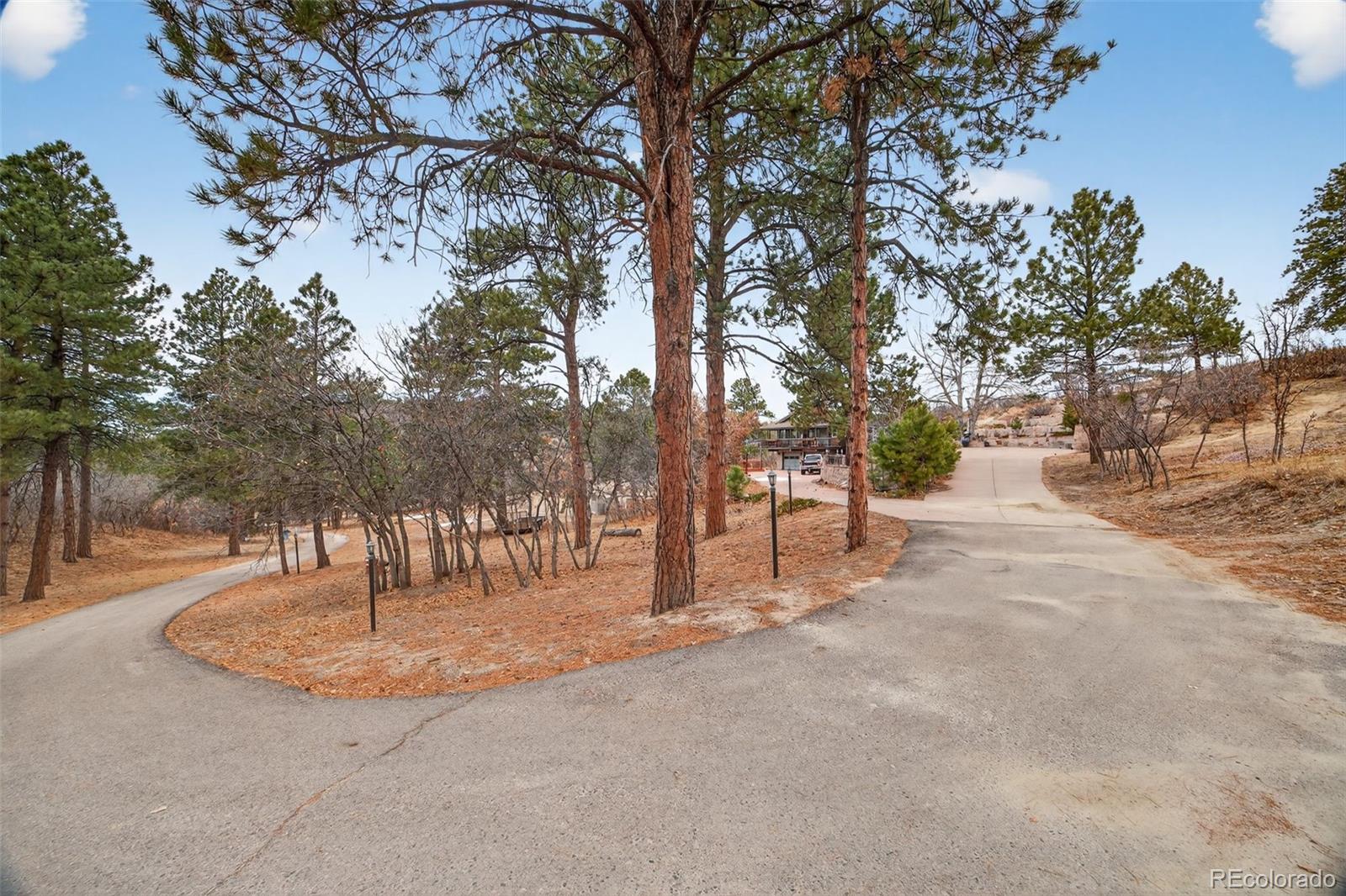 MLS Image #8 for 450 e happy canyon road,castle rock, Colorado