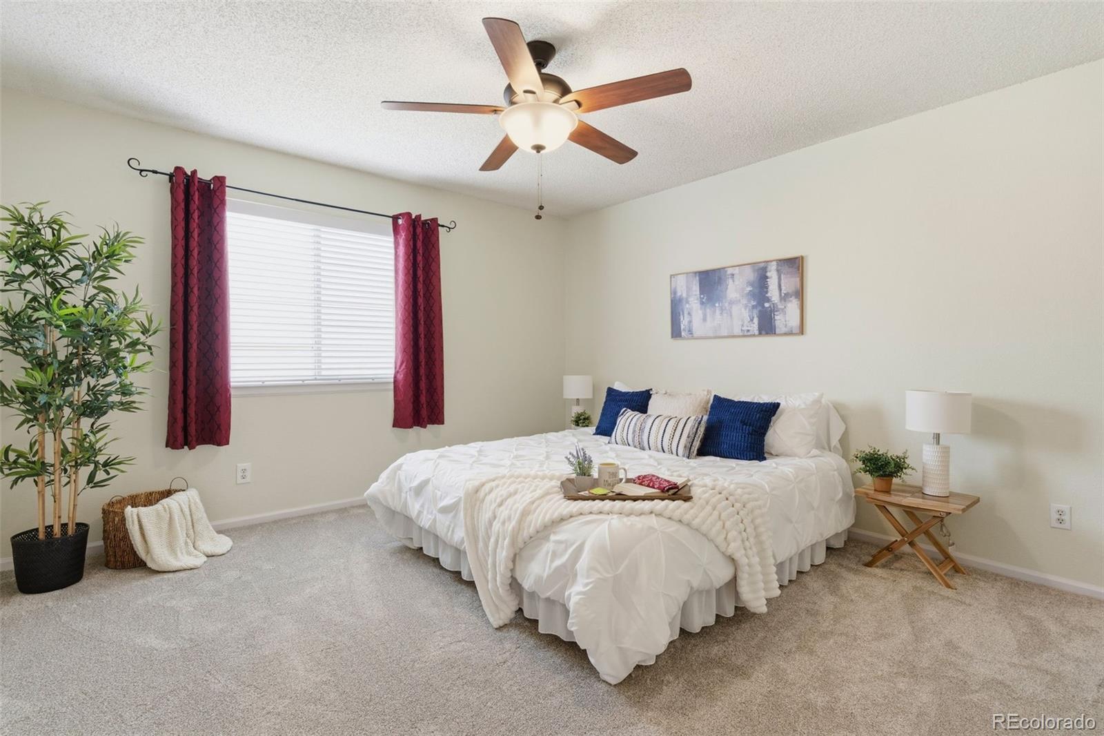MLS Image #10 for 162  tilbury avenue,castle rock, Colorado
