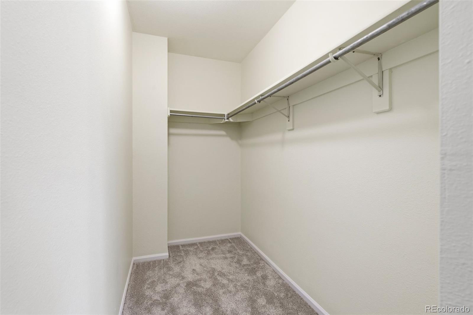 MLS Image #12 for 162  tilbury avenue,castle rock, Colorado