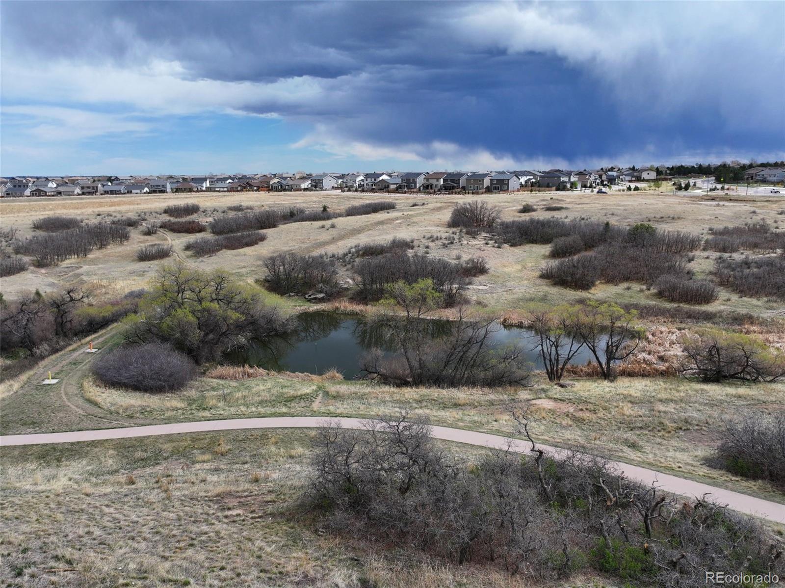 MLS Image #2 for 162  tilbury avenue,castle rock, Colorado