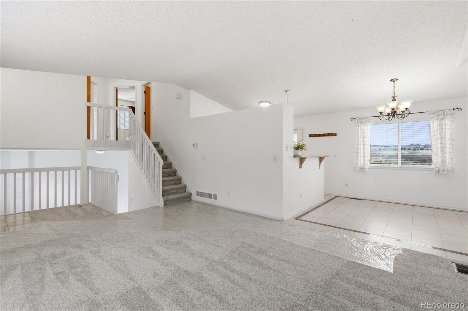 MLS Image #6 for 162  tilbury avenue,castle rock, Colorado