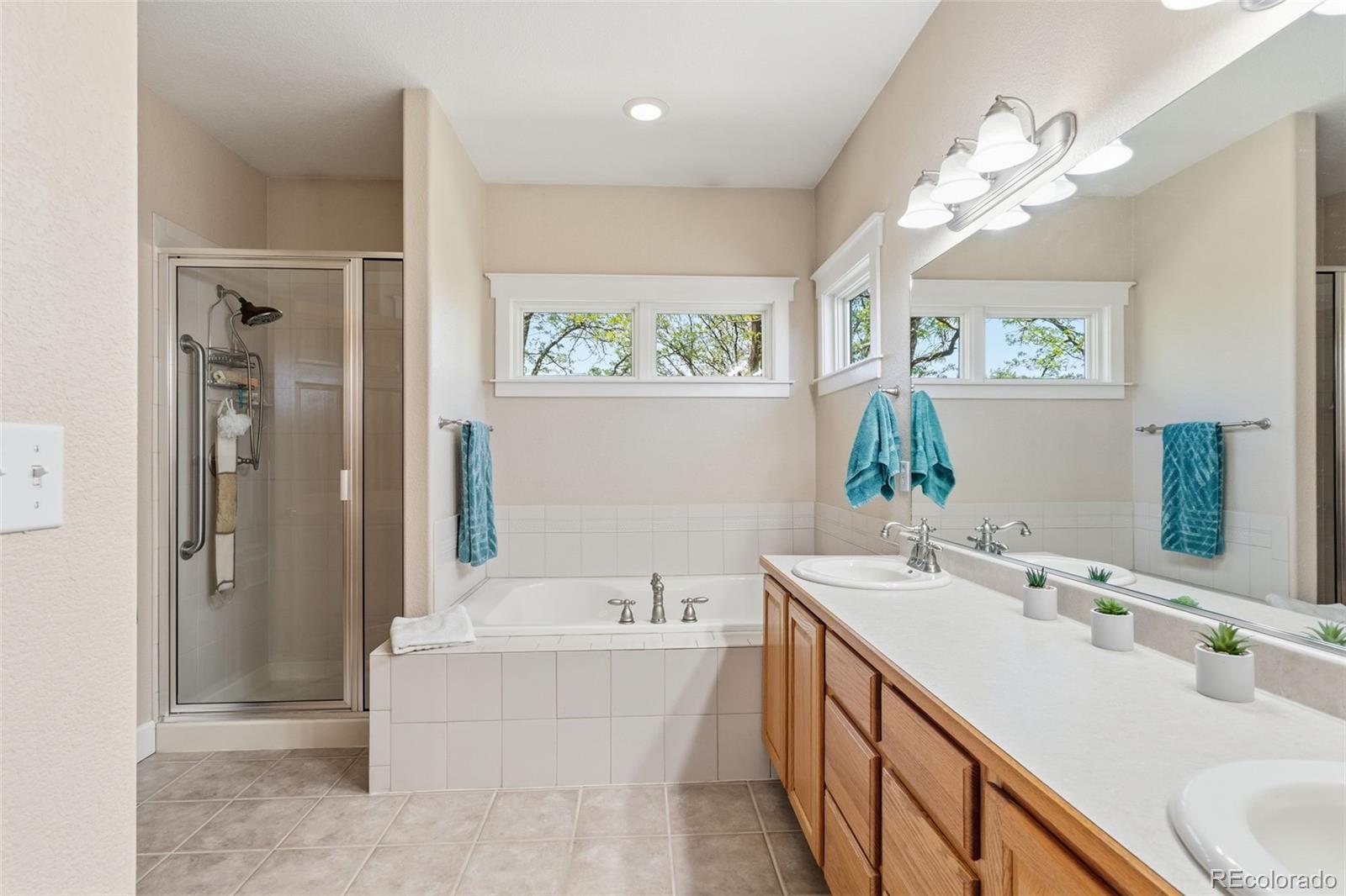 MLS Image #10 for 825  rose drive,brighton, Colorado