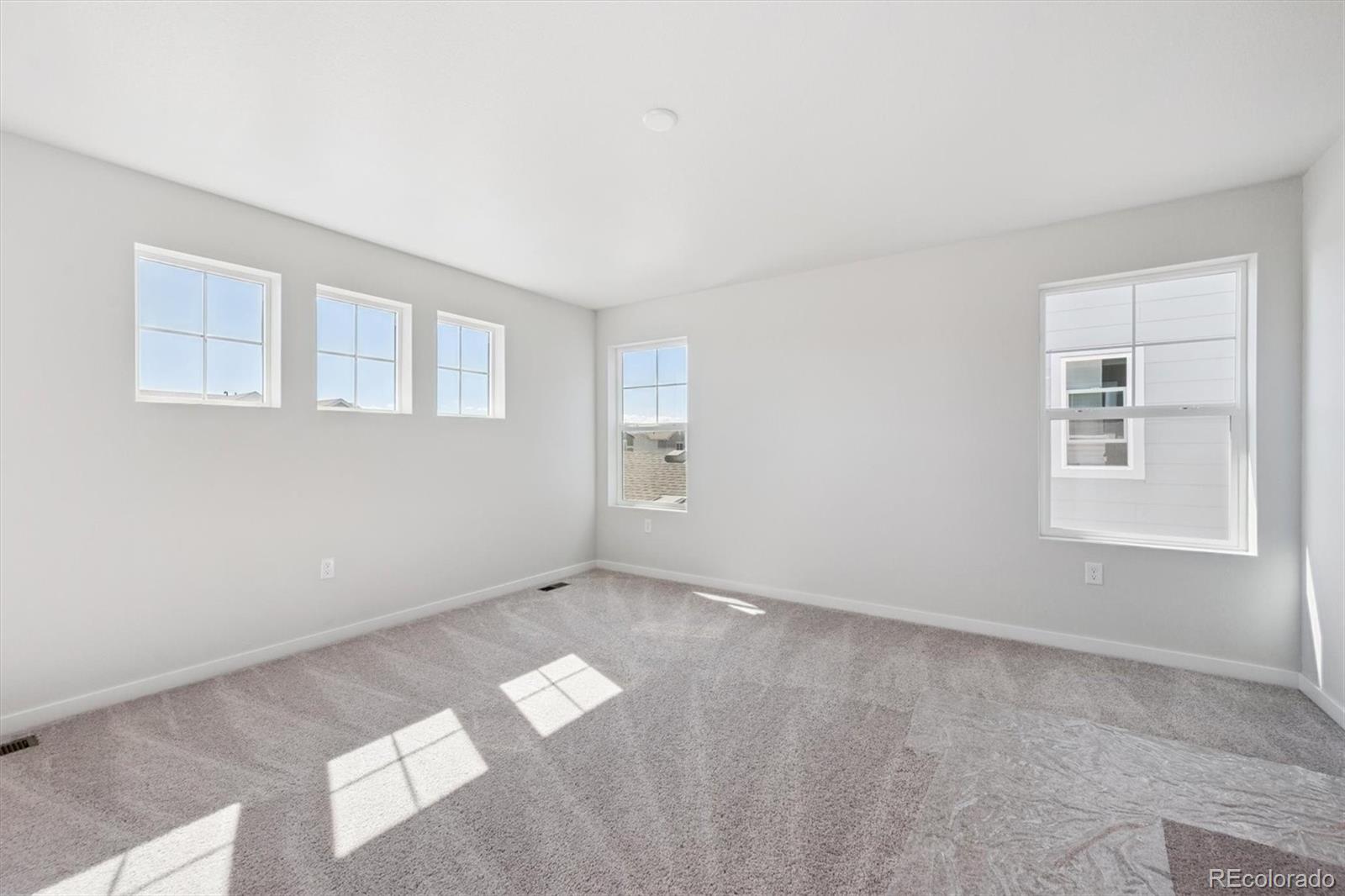 MLS Image #18 for 4540  blue grama drive,dacono, Colorado