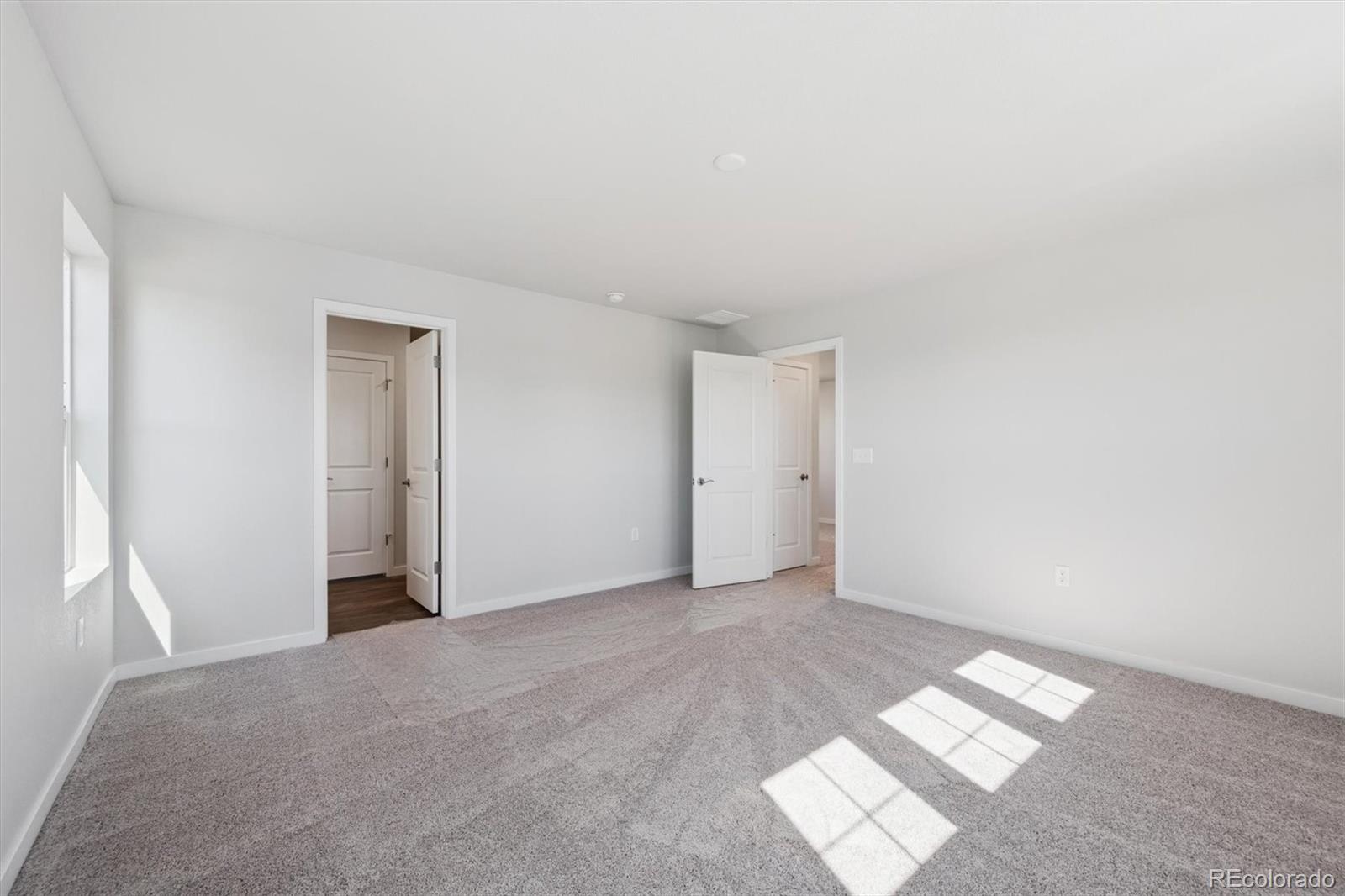 MLS Image #19 for 4540  blue grama drive,dacono, Colorado