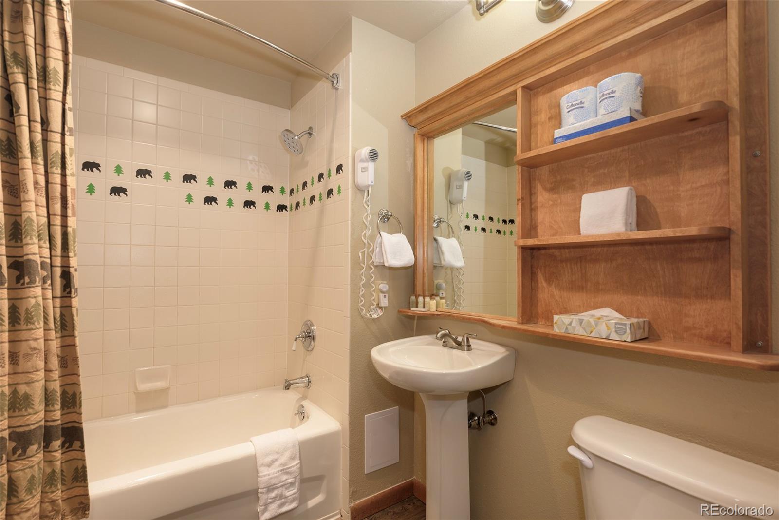 MLS Image #17 for 201  zephyr way,winter park, Colorado