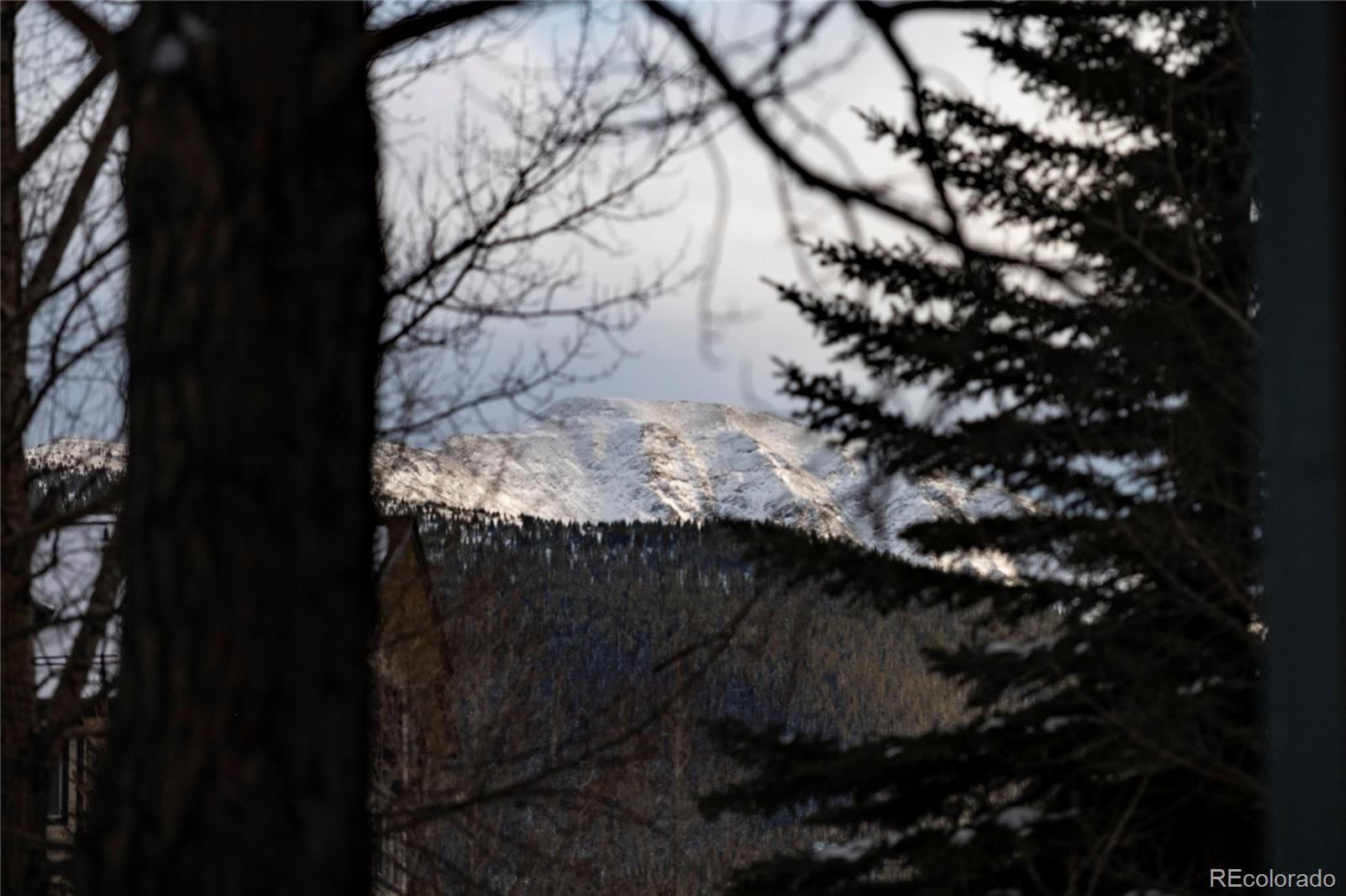 MLS Image #38 for 201  zephyr way,winter park, Colorado