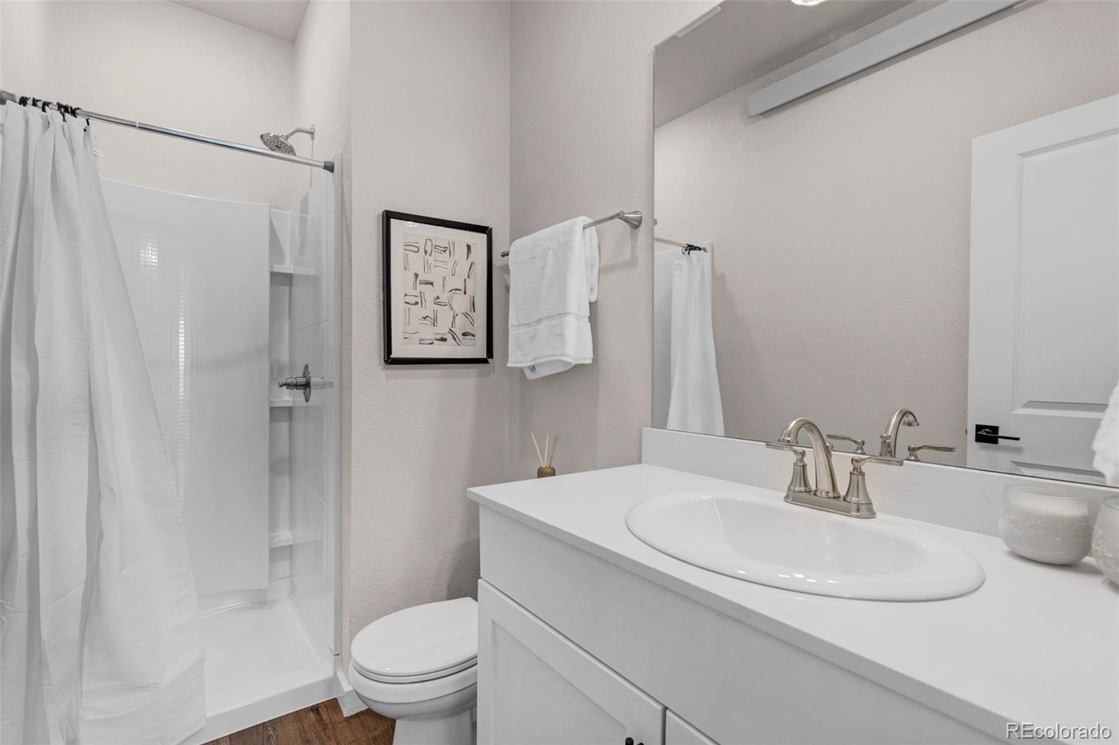 MLS Image #12 for 325  williams street,buena vista, Colorado