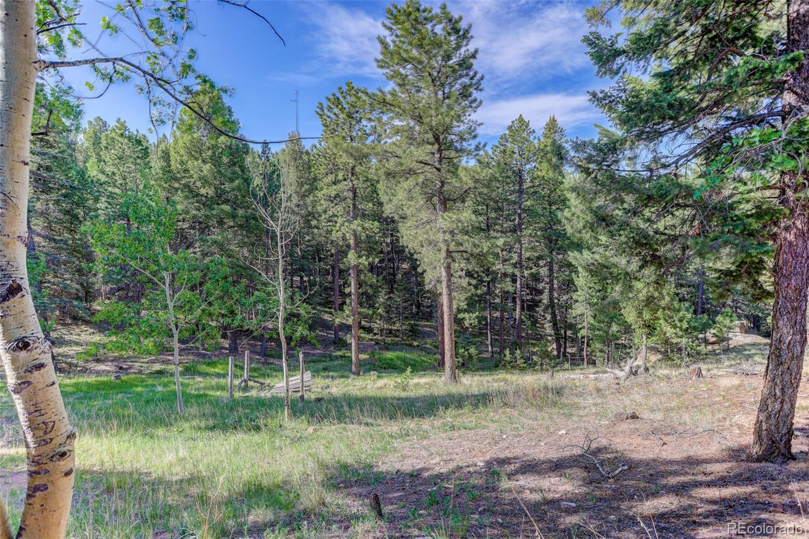 MLS Image #3 for 4  honeysuckle road,woodland park, Colorado