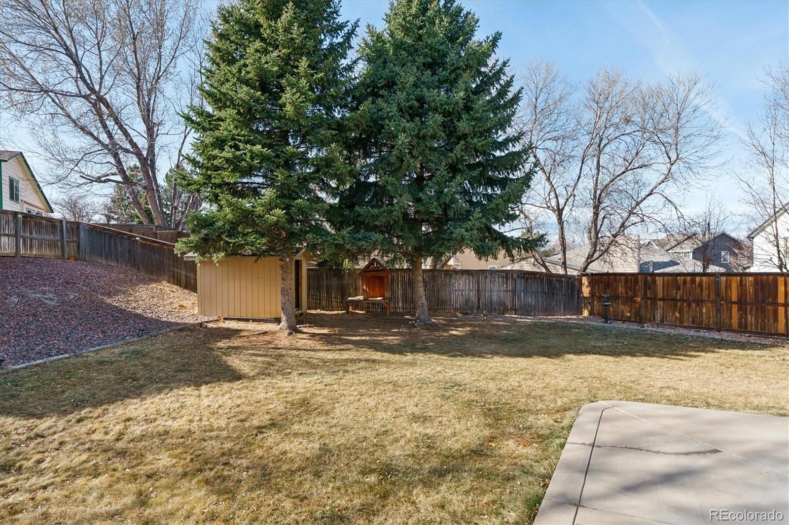 MLS Image #22 for 529  chiswick circle,highlands ranch, Colorado