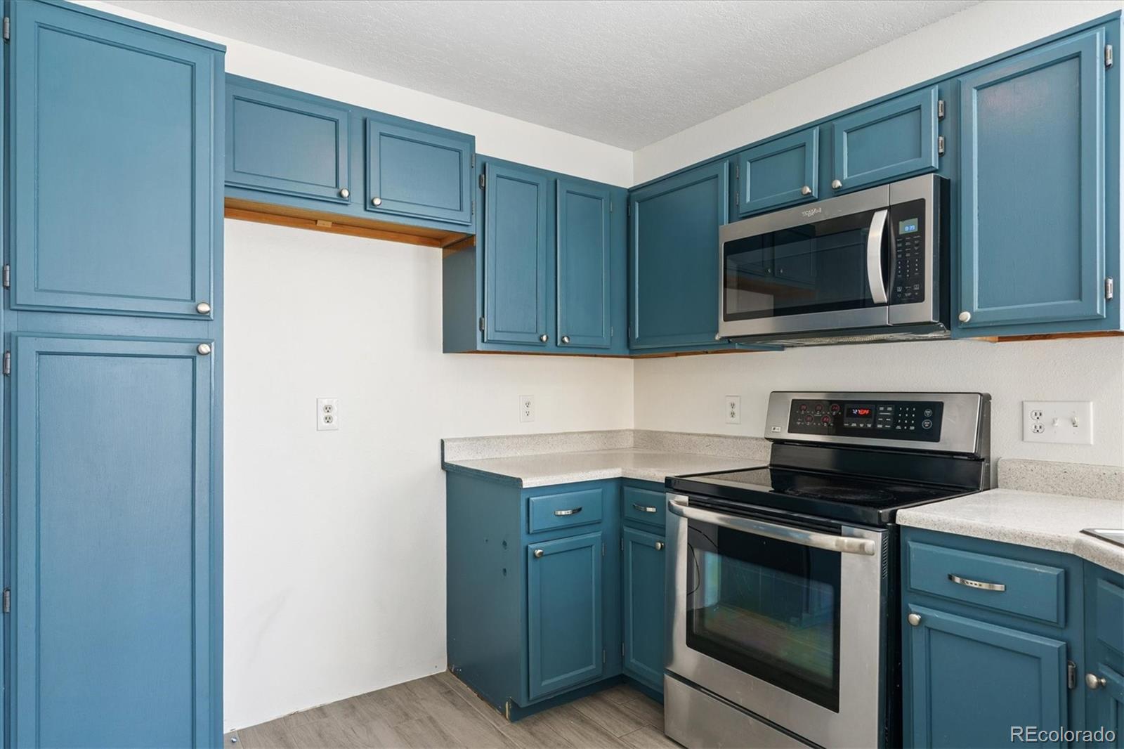 MLS Image #6 for 529  chiswick circle,highlands ranch, Colorado