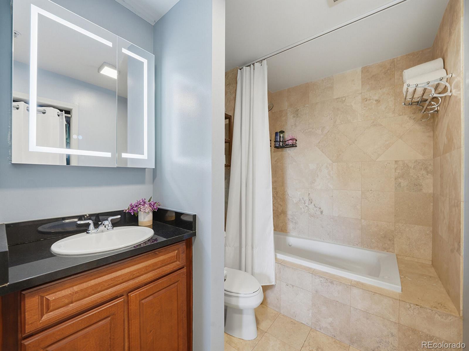 MLS Image #11 for 925 n lincoln street,denver, Colorado