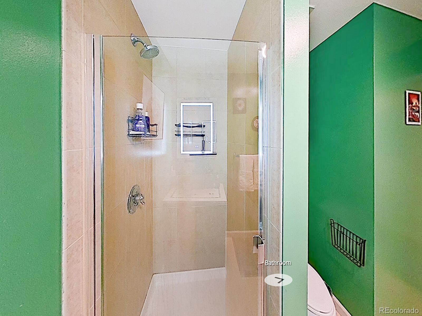 MLS Image #15 for 925 n lincoln street,denver, Colorado