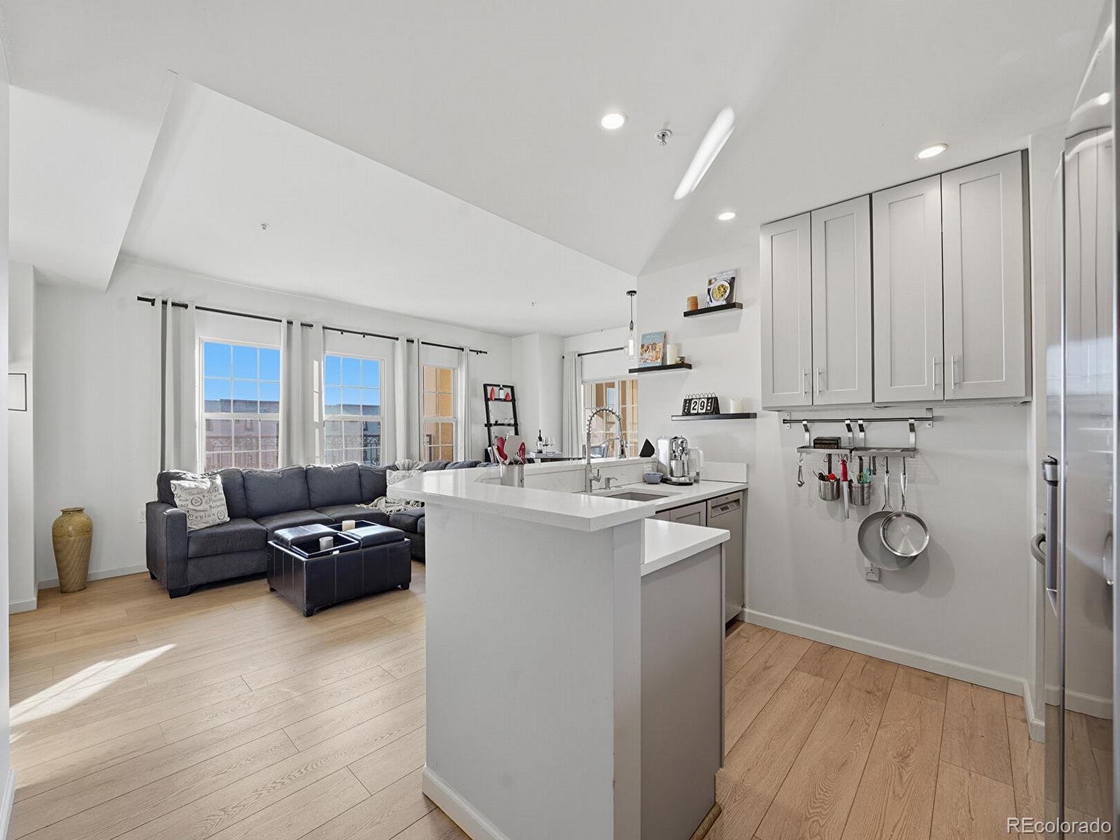 MLS Image #7 for 925 n lincoln street,denver, Colorado
