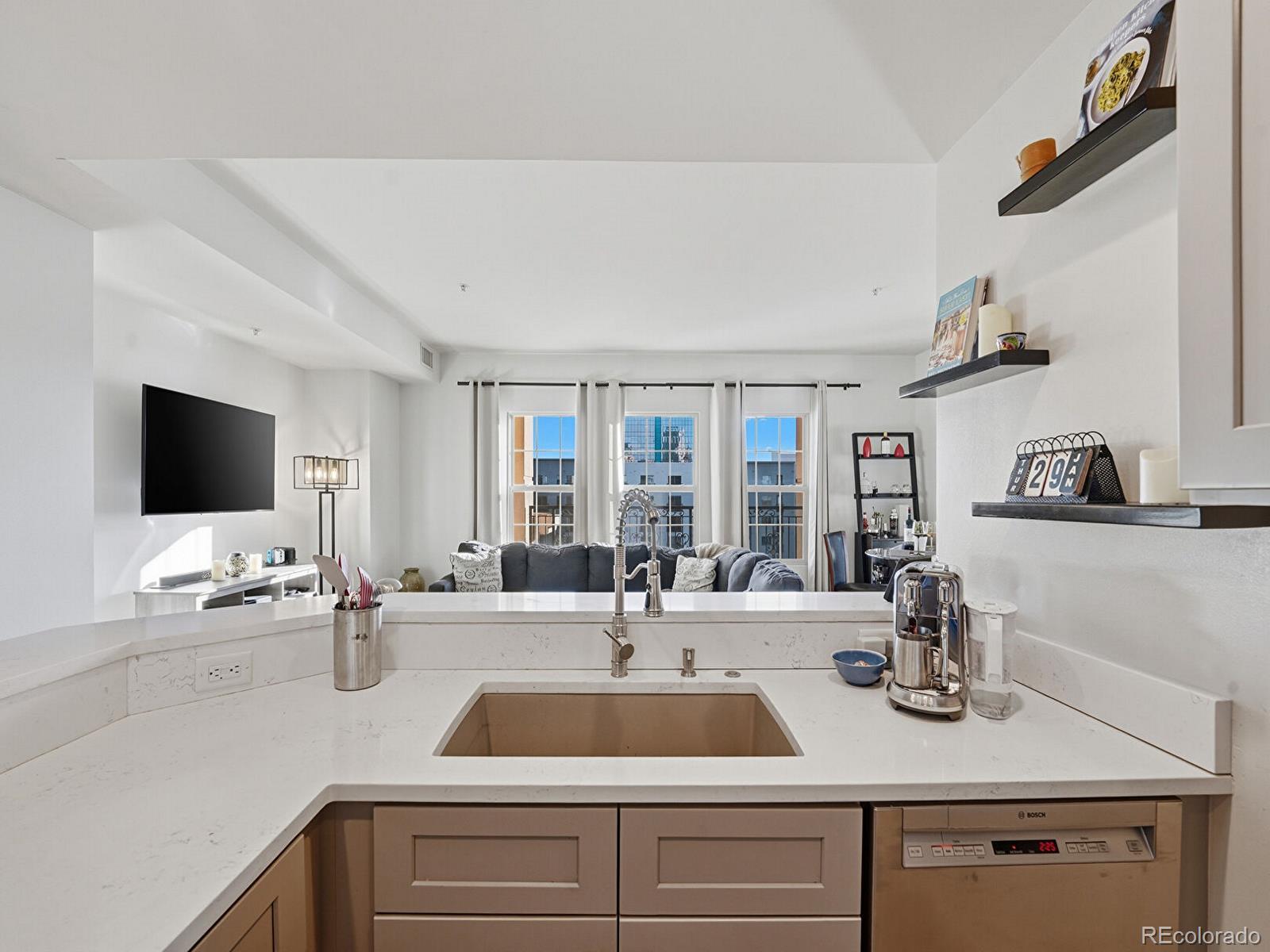 MLS Image #9 for 925 n lincoln street,denver, Colorado