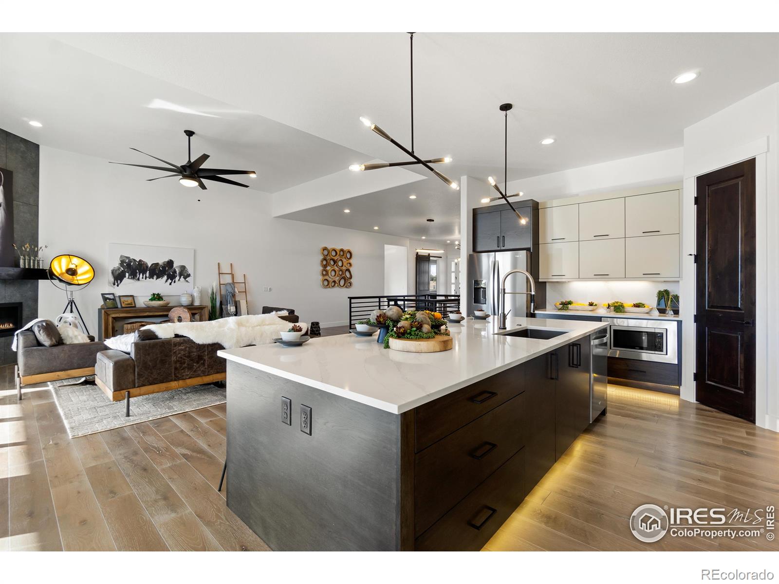MLS Image #10 for 2045  morningstar way,fort collins, Colorado