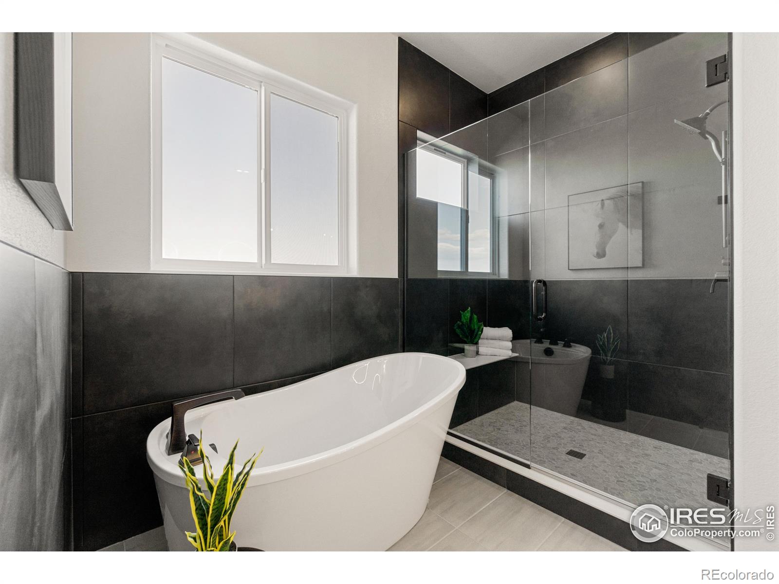 MLS Image #19 for 2045  morningstar way,fort collins, Colorado