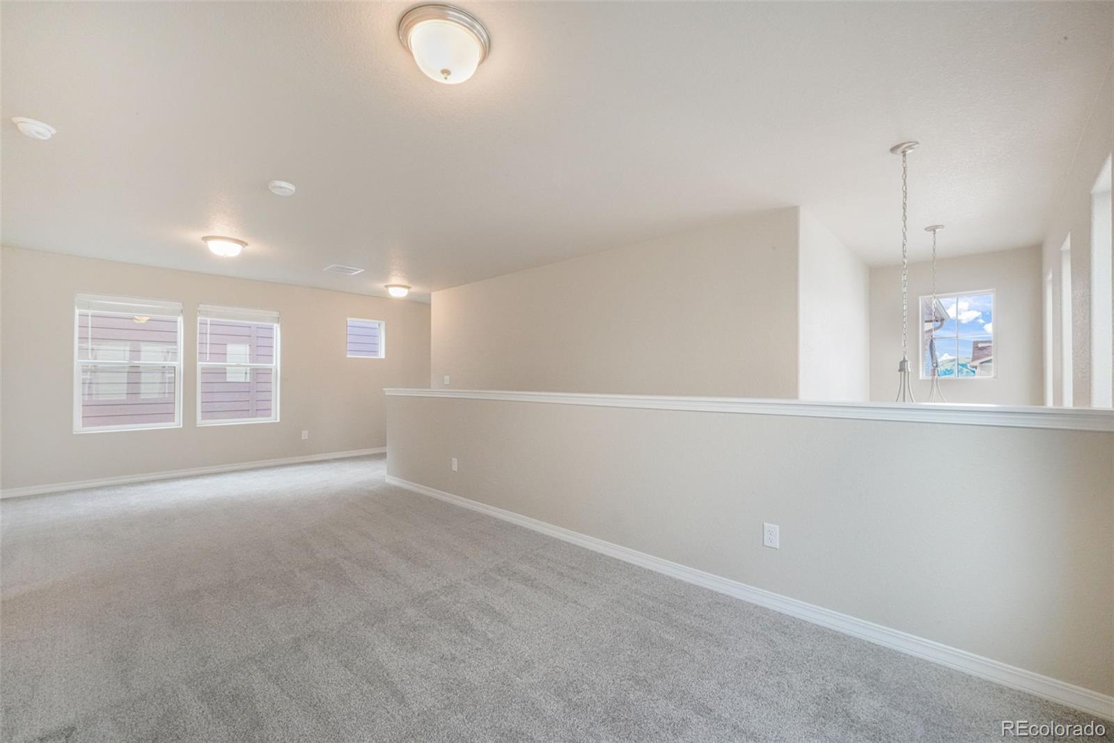 MLS Image #32 for 7851  lathrop view,colorado springs, Colorado