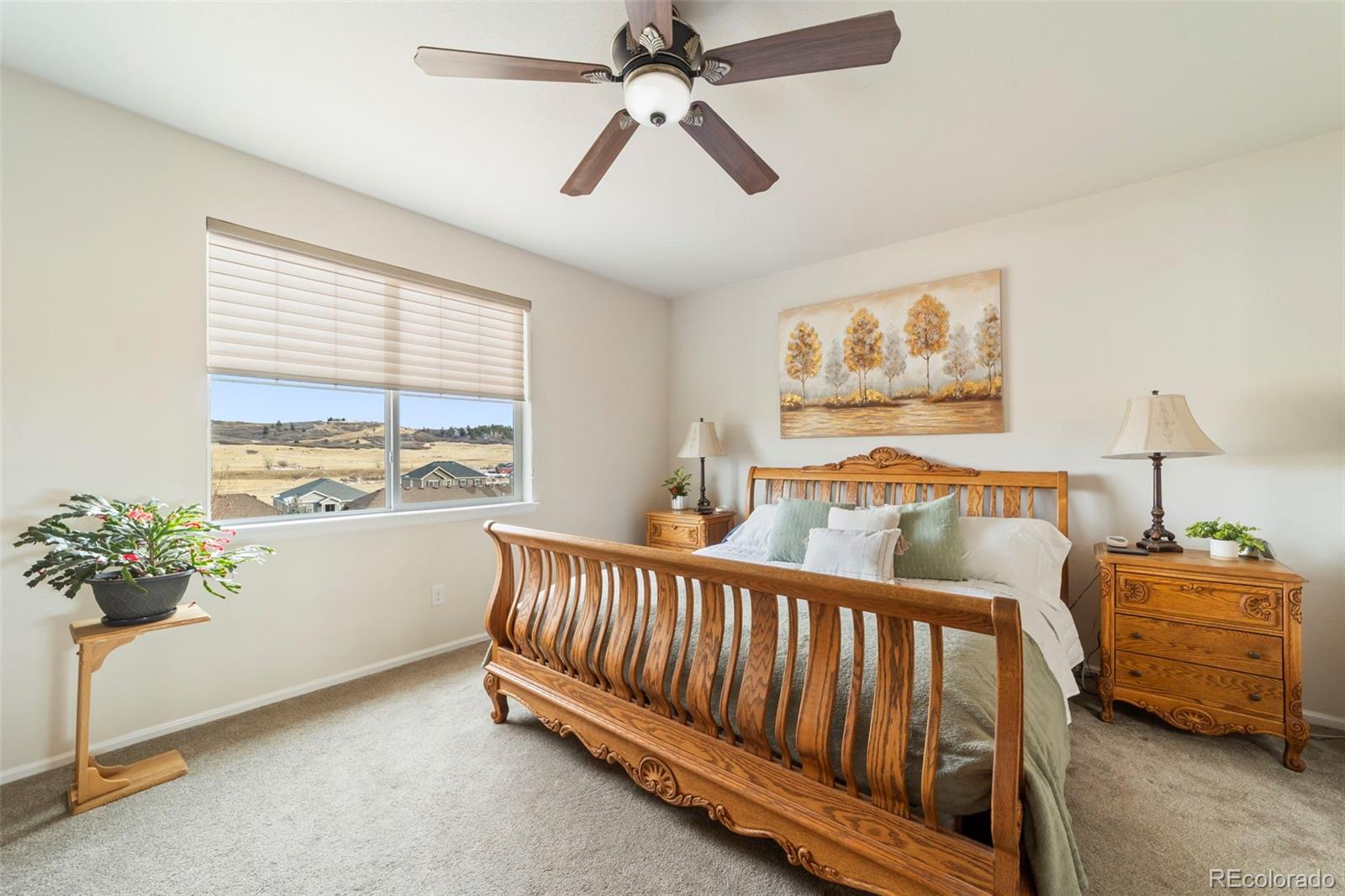 MLS Image #15 for 5900  echo hollow street,castle rock, Colorado