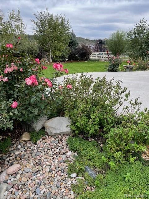 MLS Image #29 for 5900  echo hollow street,castle rock, Colorado