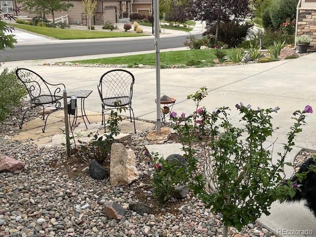 MLS Image #34 for 5900  echo hollow street,castle rock, Colorado