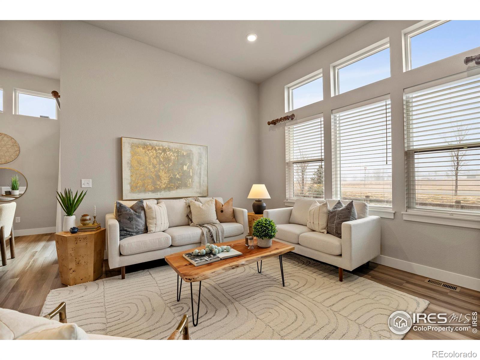 MLS Image #16 for 6752  castello street,timnath, Colorado