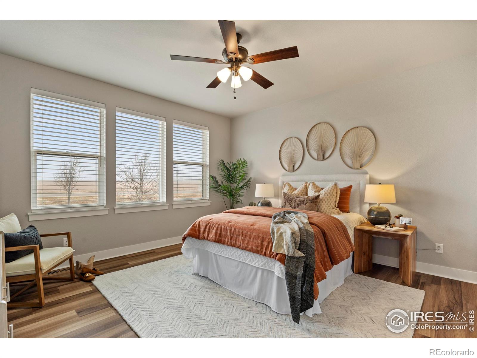 MLS Image #19 for 6752  castello street,timnath, Colorado