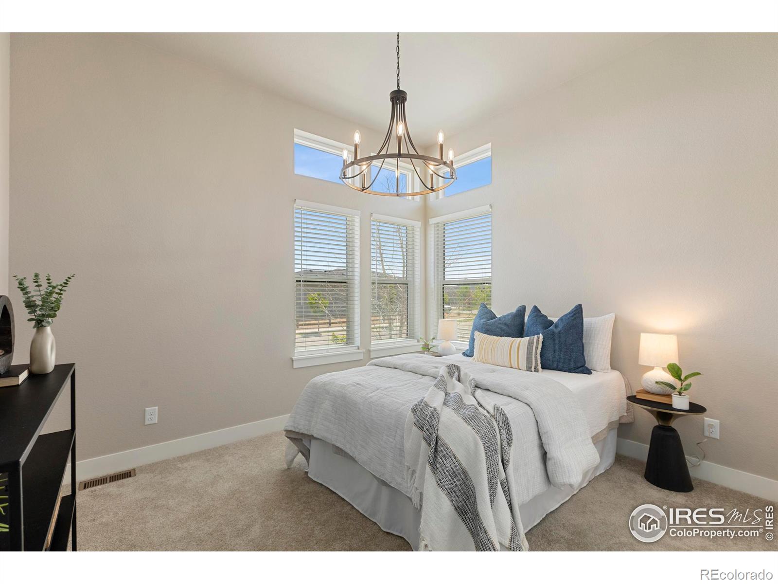 MLS Image #24 for 6752  castello street,timnath, Colorado