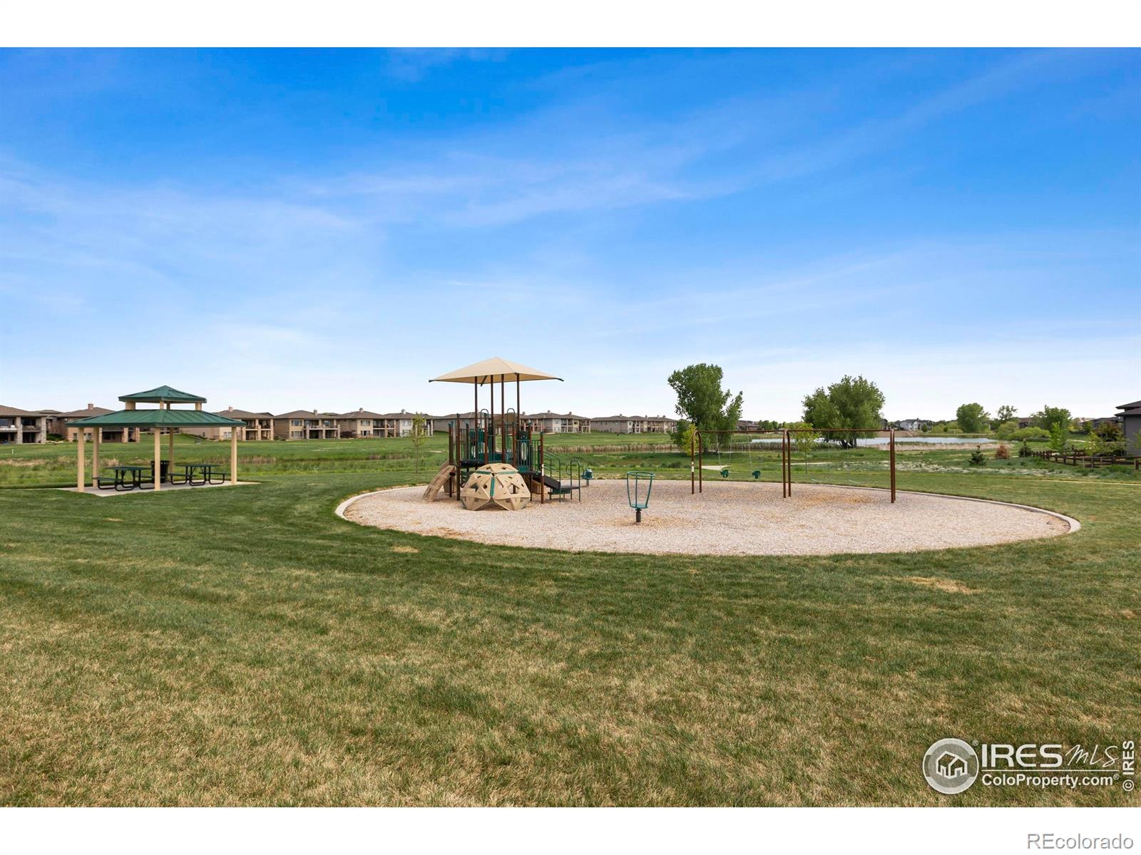 MLS Image #40 for 6752  castello street,timnath, Colorado