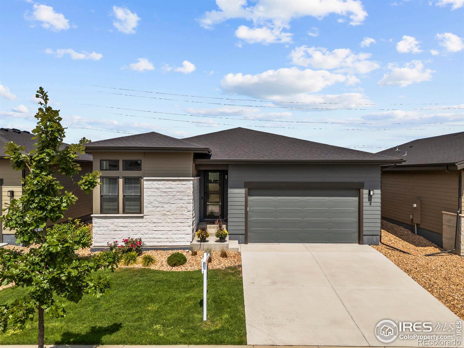 MLS Image #43 for 6752  castello street,timnath, Colorado
