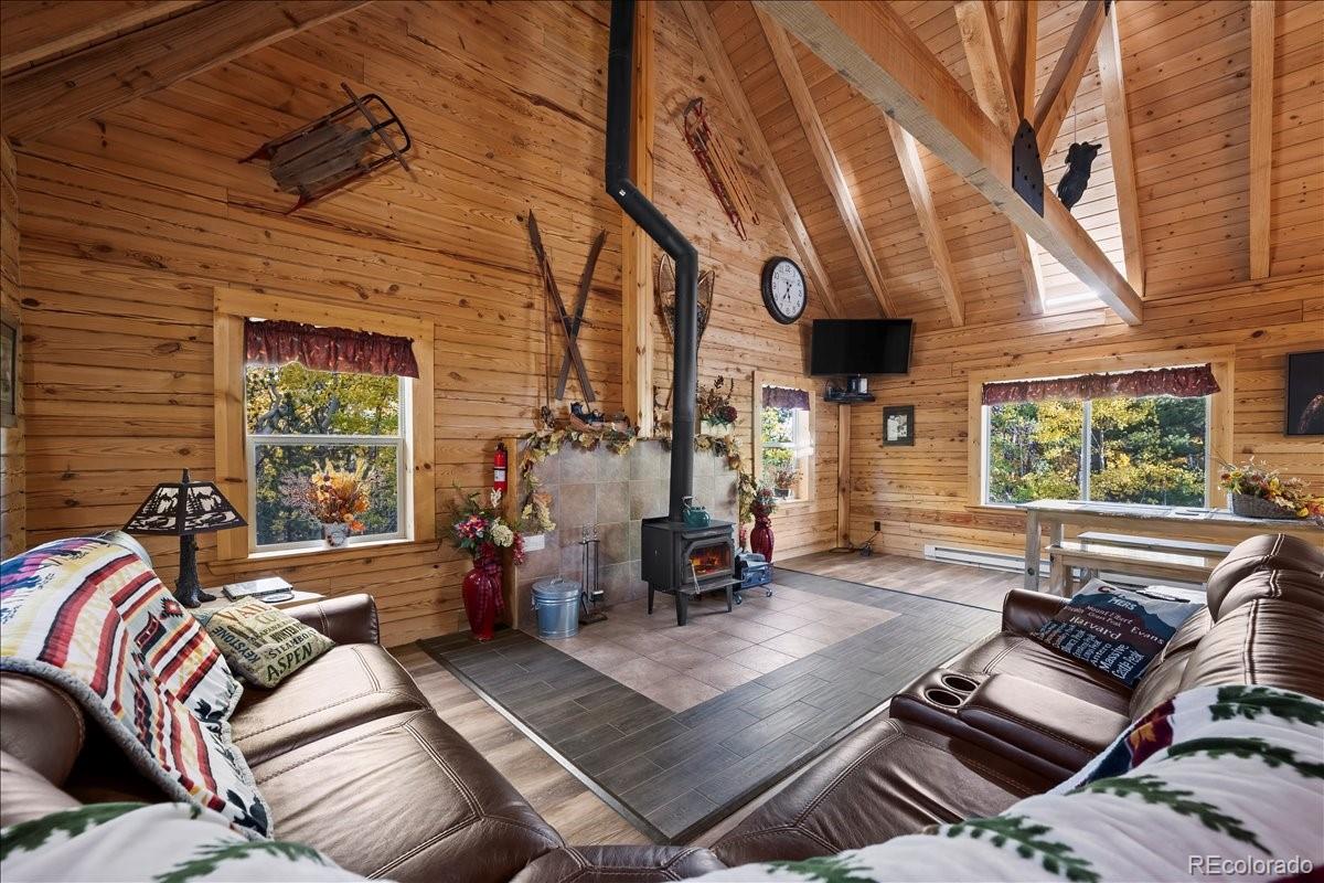 MLS Image #10 for 1119  venture road road,fairplay, Colorado