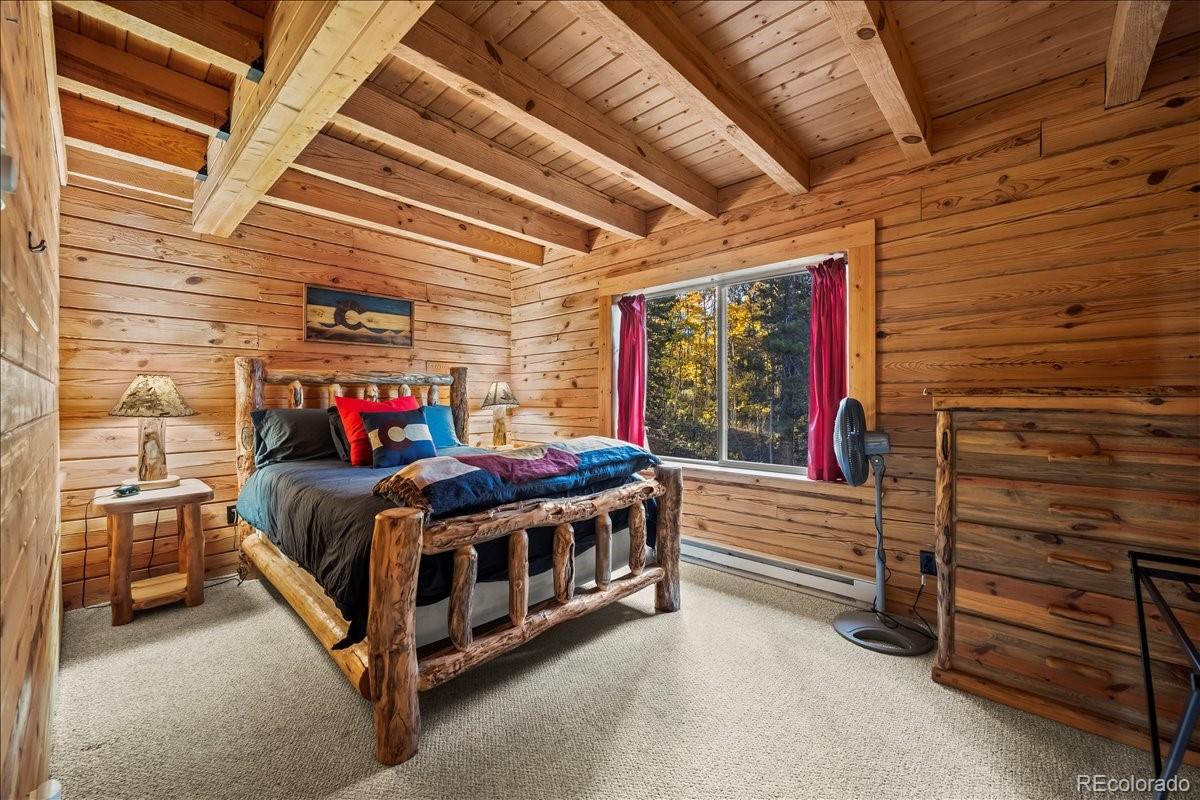 MLS Image #21 for 1119  venture road road,fairplay, Colorado