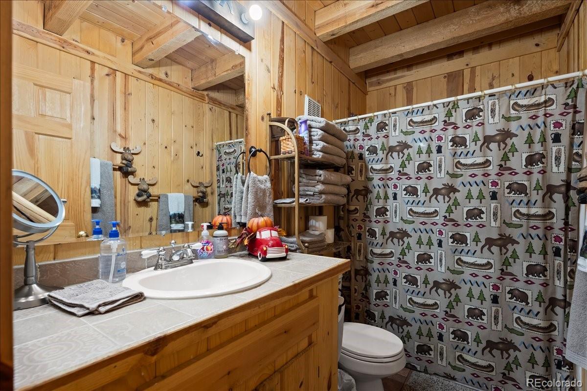 MLS Image #22 for 1119  venture road road,fairplay, Colorado