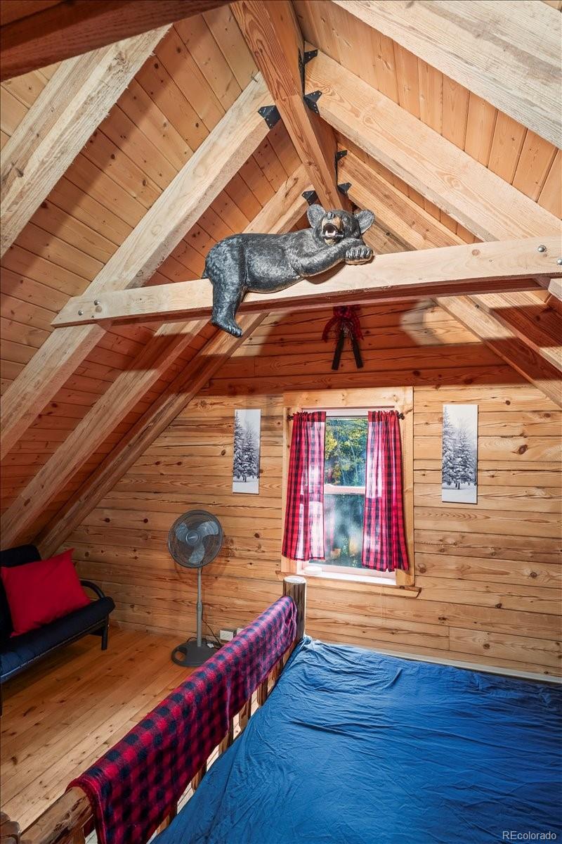 MLS Image #29 for 1119  venture road road,fairplay, Colorado