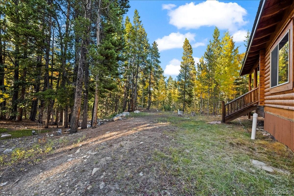 MLS Image #38 for 1119  venture road road,fairplay, Colorado