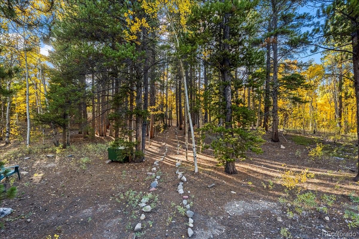 MLS Image #39 for 1119  venture road road,fairplay, Colorado
