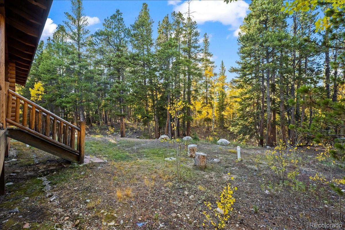 MLS Image #4 for 1119  venture road road,fairplay, Colorado