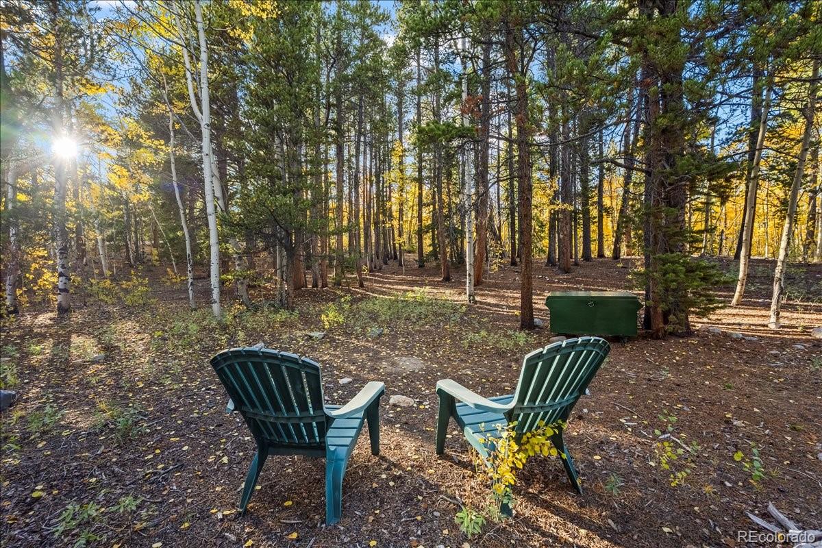 MLS Image #40 for 1119  venture road road,fairplay, Colorado