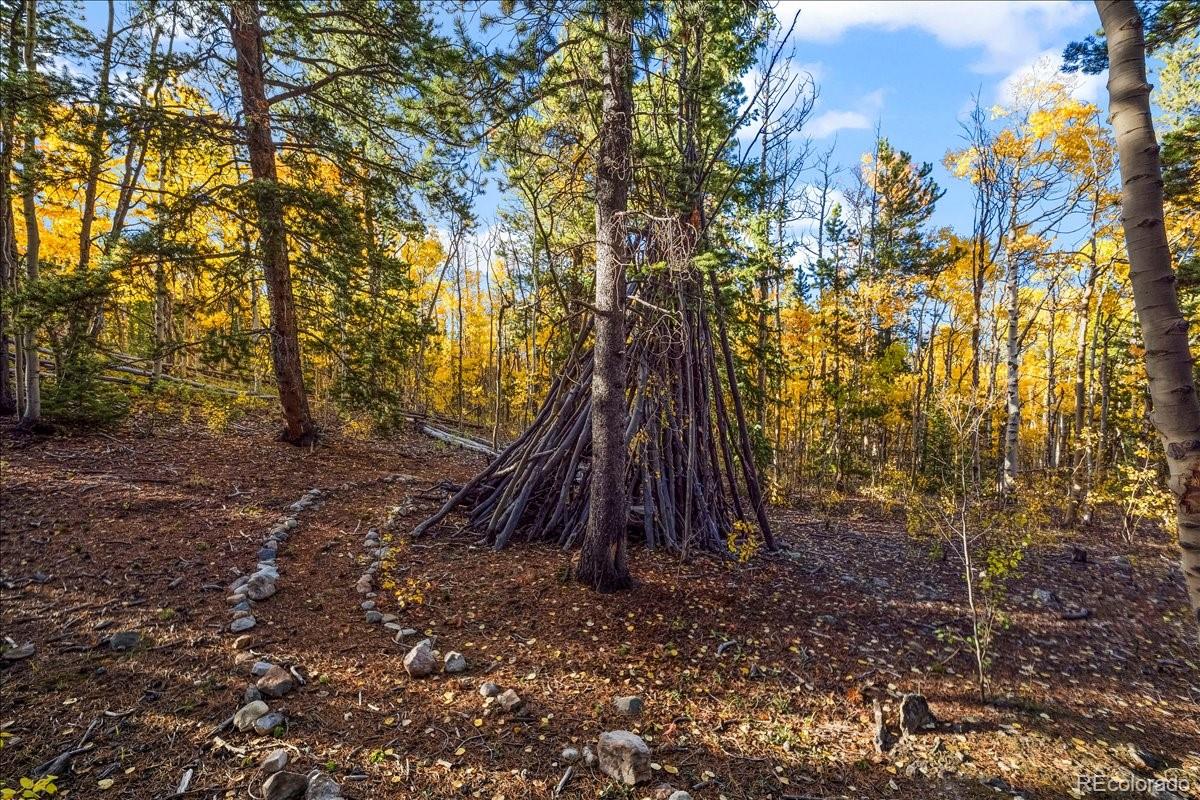 MLS Image #41 for 1119  venture road road,fairplay, Colorado