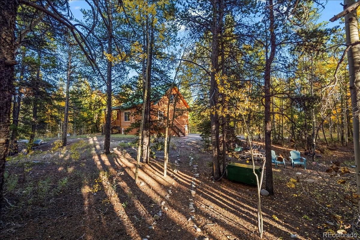 MLS Image #42 for 1119  venture road road,fairplay, Colorado