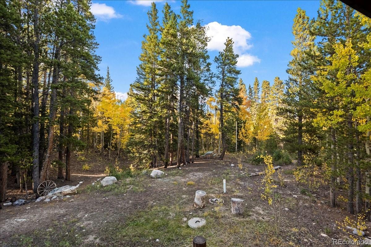 MLS Image #43 for 1119  venture road road,fairplay, Colorado