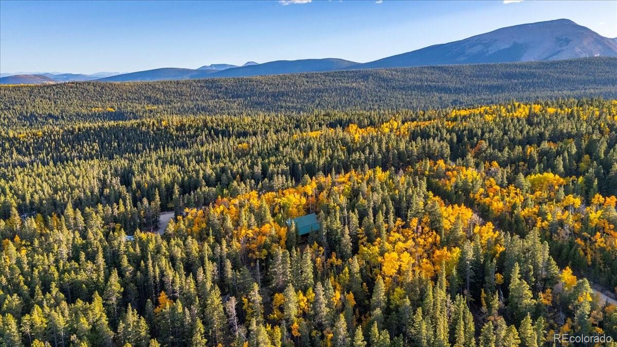 MLS Image #44 for 1119  venture road road,fairplay, Colorado
