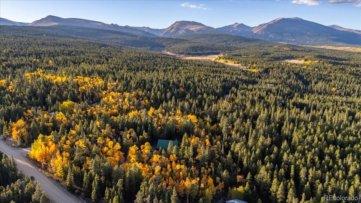 MLS Image #45 for 1119  venture road road,fairplay, Colorado