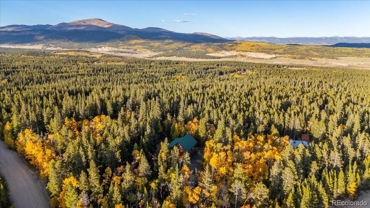 MLS Image #47 for 1119  venture road road,fairplay, Colorado