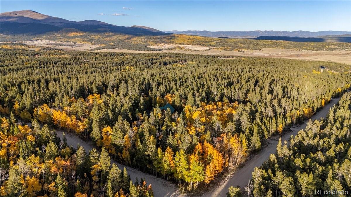 MLS Image #48 for 1119  venture road road,fairplay, Colorado