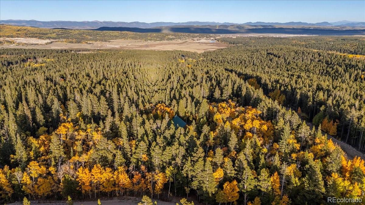 MLS Image #49 for 1119  venture road road,fairplay, Colorado