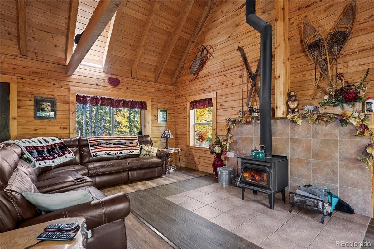 MLS Image #9 for 1119  venture road road,fairplay, Colorado