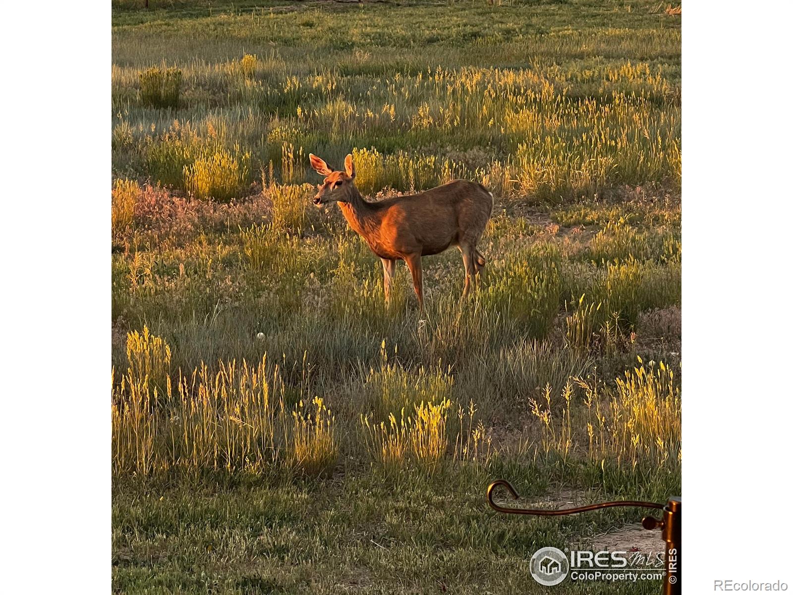 MLS Image #41 for 11837  county road 39 ,fort lupton, Colorado