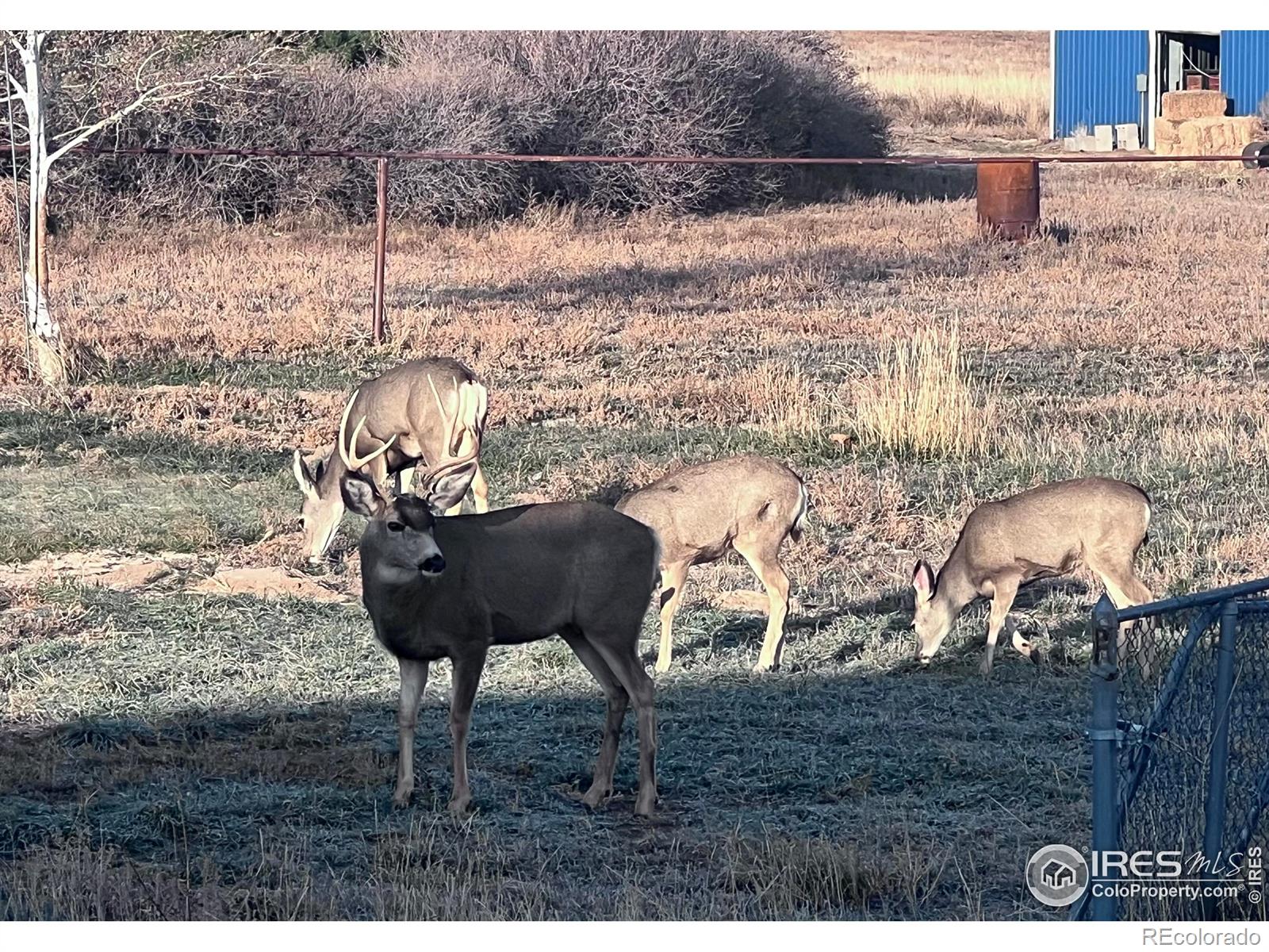 MLS Image #42 for 11837  county road 39 ,fort lupton, Colorado