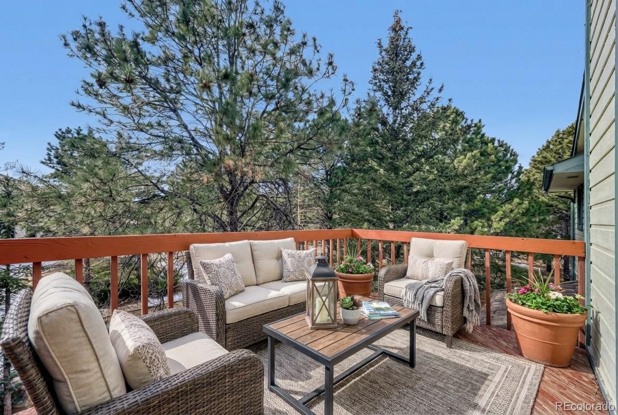 MLS Image #28 for 225  sugarbush drive,monument, Colorado
